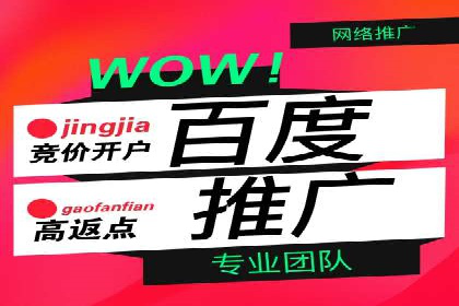 SEM运营托管案例：打造高效广告投放方案